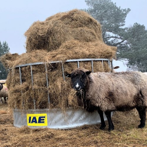 Unbranded Sheep Feeders & Hayracks