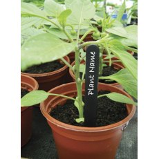 Garland Plant Labels 13cm 50pk