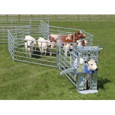 IAE Portable Cattle Handling Starter Kit