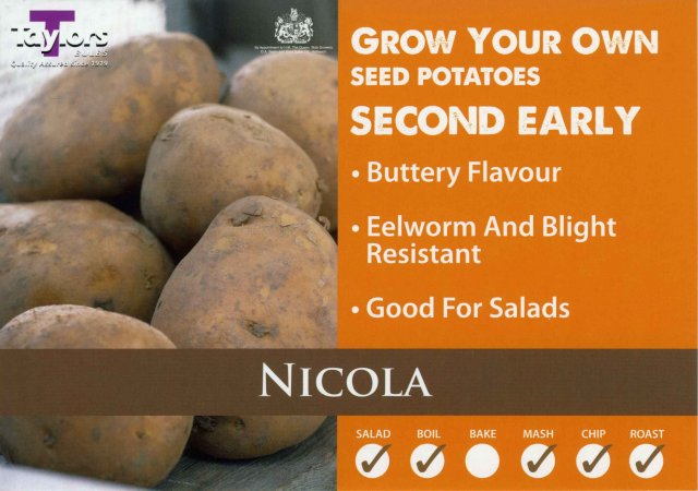 Taylors Bulbs Nicola Seed Potato - 2kg