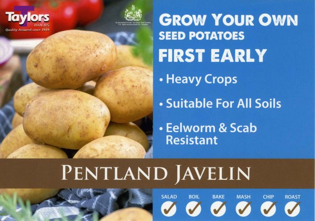 Taylors Bulbs Pentland Javelin Seed Potato - 2kg