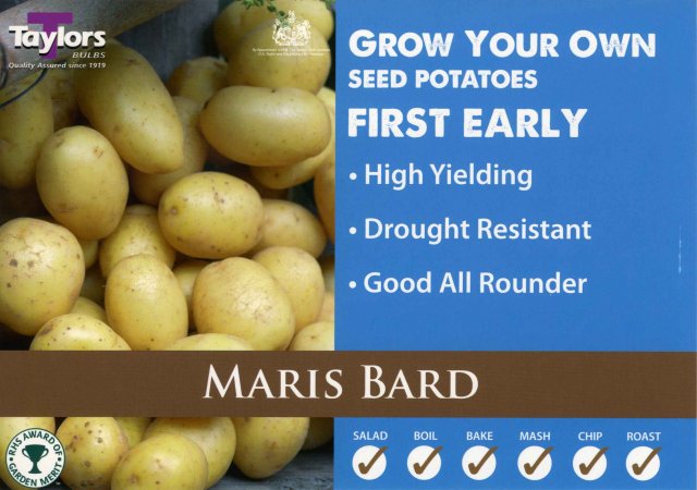 Taylors Bulbs Maris Bard Seed Potato - 2kg