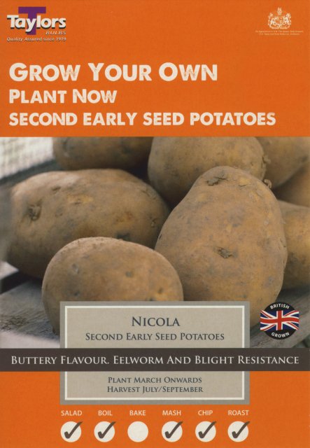 Taylors Bulbs Nicola Seed Potato - 10pk