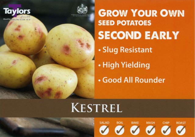 Taylors Bulbs Kestrel Seed Potato - 2kg