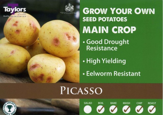 Taylors Bulbs Picasso Seed Potato - 2kg