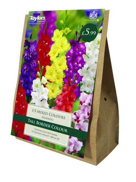 Taylors Bulbs The Border Collection Mix