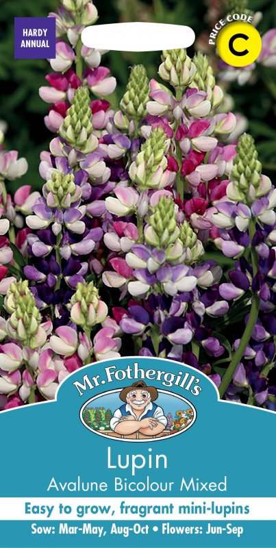 Mr Fothergill's Fothergills Lupin Avalune Bicolour Mix