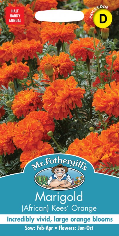 Mr Fothergill's Fothergills Marigold Kees Orange- African