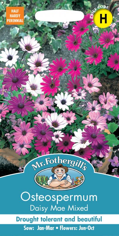 Mr Fothergill's Fothergills Osteospermum Daisy Mae Mixed