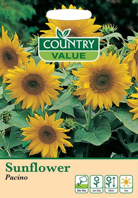 Mr Fothergill's Sunflower Pacino C V Seeds