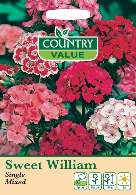 Mr Fothergill's Sweet Wiiliam Single Mixed C V Seeds