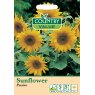 Mr Fothergill's Sunflower Pacino C V Seeds