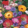 Mr Fothergill's Rhs Flower Box Cottage Garden Mix