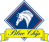 Blue Chip