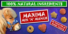 Maxima Equestrian