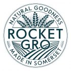 RocketGro