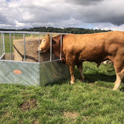 Cattle Bale Feeders