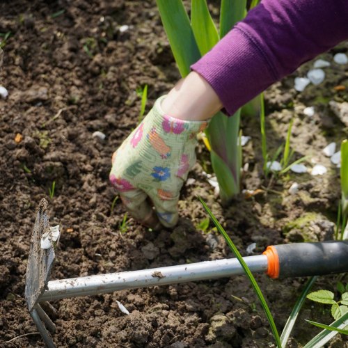 Fertiliser, Weed & Pest Control