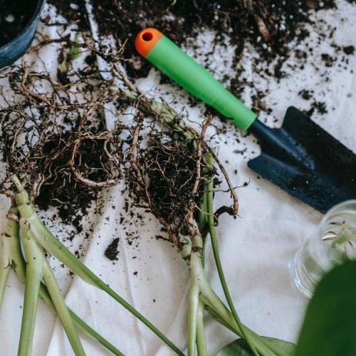 Smart Garden Products Hand Tools