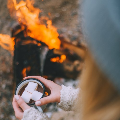 Ivyline Chimenea & Fire Pits