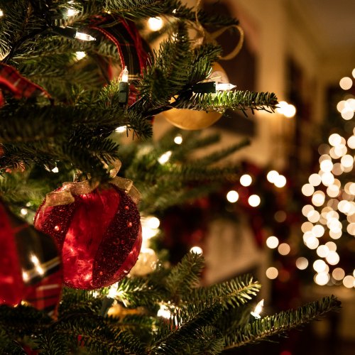 NOMA Christmas