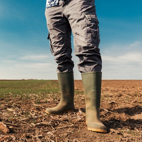 Barbour Wellingtons