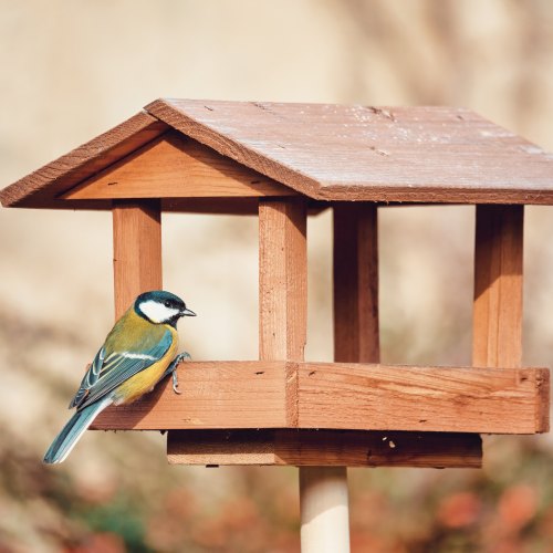 Tom Chambers Bird Tables