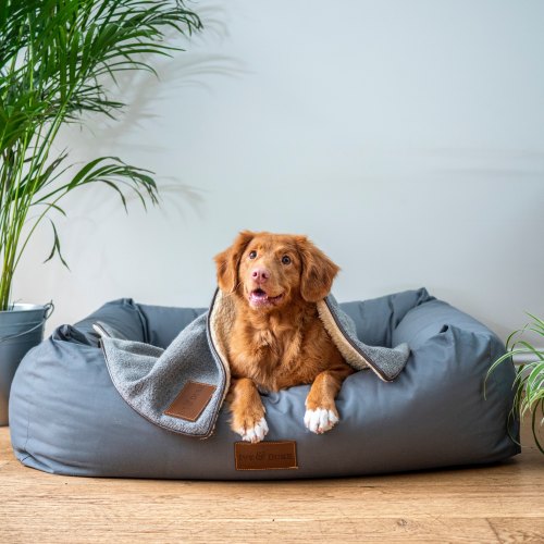 Barbour Soft Beds