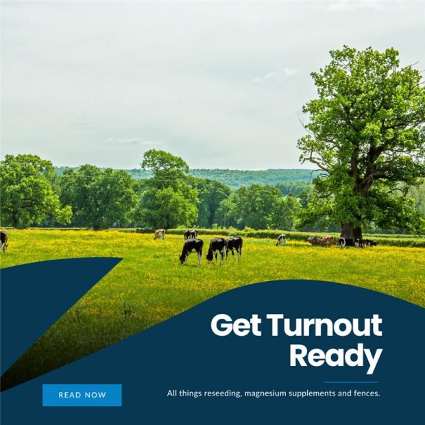 Get Turnout Ready - Preparing Your Fields for April Grazing