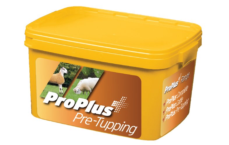 Pro Plus Pre Tupping 20kg BATA Ltd