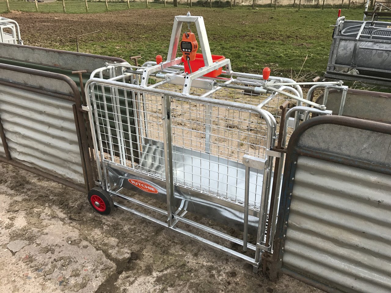 Ritchie Lamb Weigh Crate C/w Digital Weigh Head BATA Ltd