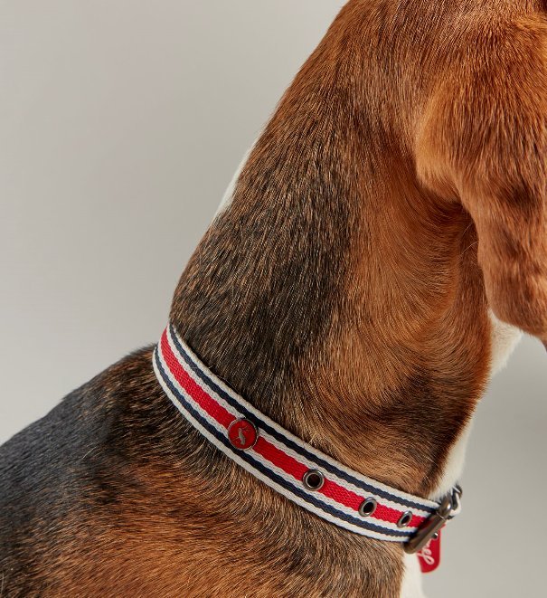 Joules Striped Dog Collar BATA Ltd