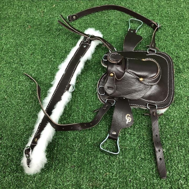 Harnais En Cuir Amish USA Pour Cheval, Réglable 57'' Avec Fouet