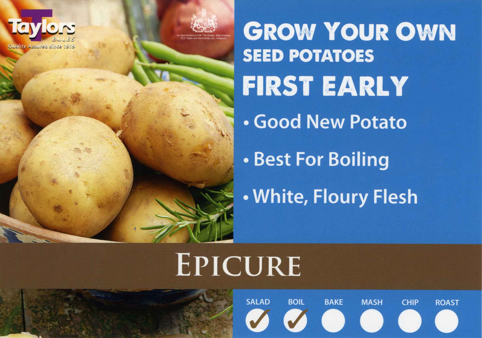 Epicure Seed Potato 2kg BATA Ltd