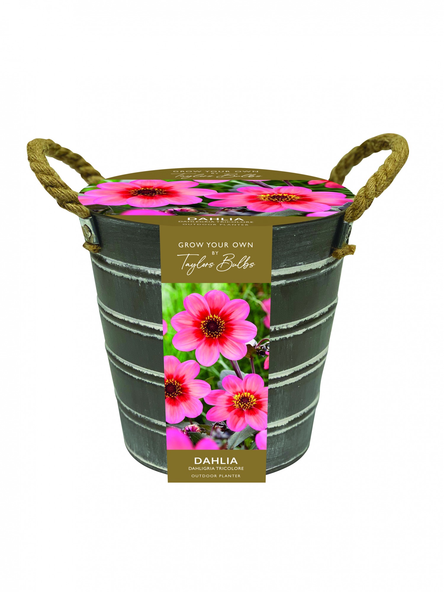 Metal Flower Bucket BATA Ltd