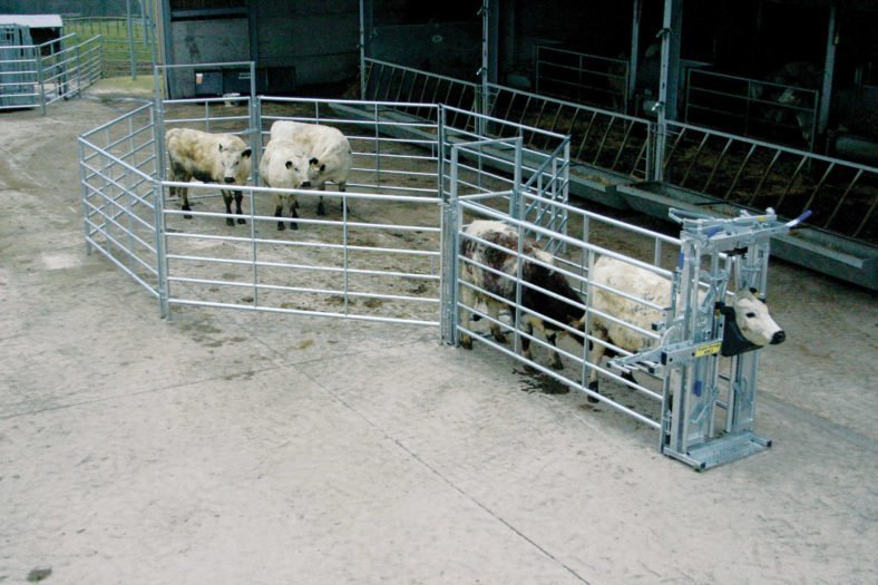 IAE Portable Cattle Handling Starter Kit BATA Ltd