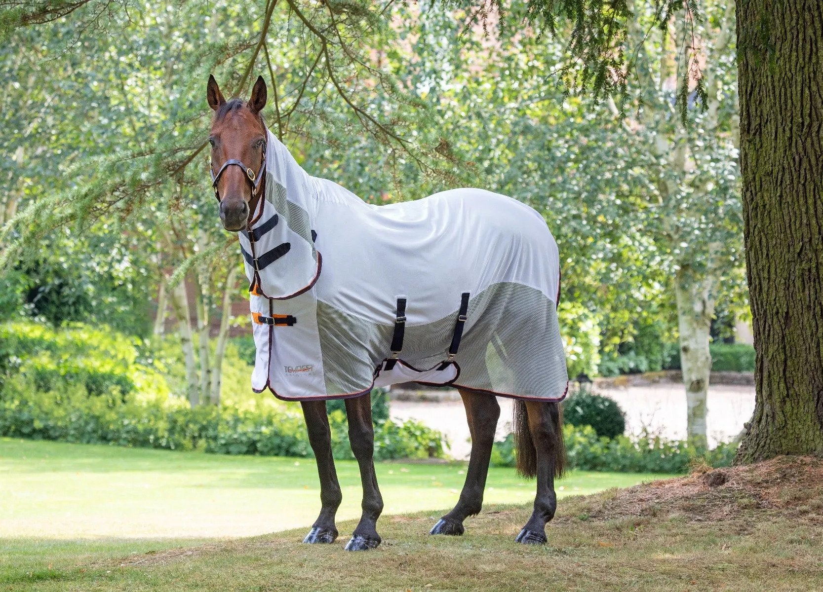 Tempest Original Fly Mesh Combo Rug - BATA Ltd