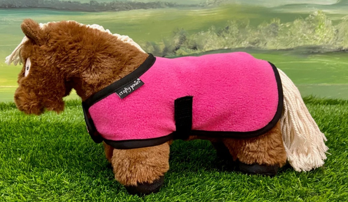 Crafty Ponies Foal Rug BATA Ltd