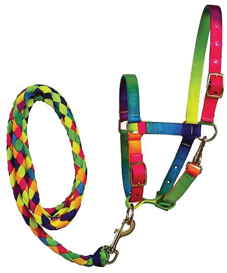 ELICO MATTERDALE FOAL HEADCOLLAR AND LEAD ROPE SET RAINBOW PSYCHEDLIC 