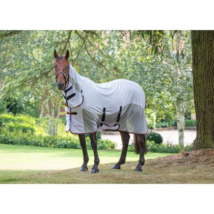 Horse Rugs