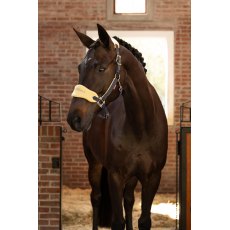 LeMieux Vogue Headcollar LeMieux Vogue Headcollar
