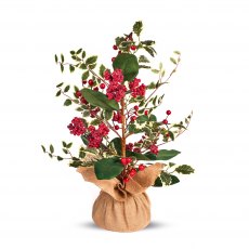 Premier Variegated Holly Berry Tree - 60cm Premier Variegated Holly Berry Tree - 60cm