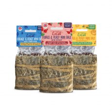 Burgess Excel Small Animal Treats Forage & Feast - 100g Burgess Excel Small Animal Treats Forage & Feast - 100g