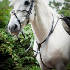 Gallop Breast Plate Martingale
