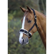 Shires Fleece Lined Black Lunge Cavesson Shires Fleece Lined Black Lunge Cavesson