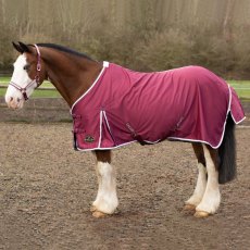 New Gallop Summer Sheet New Gallop Summer Sheet