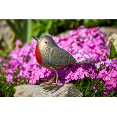 Tom Chambers Robin Redbreast Tom Chambers Robin Redbreast