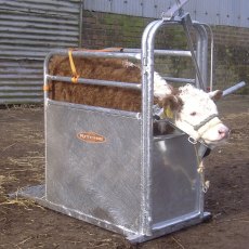 Ritchie Calf De Horning Crate