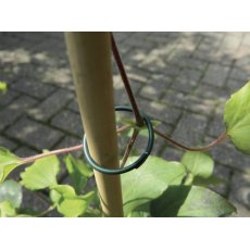 Garland Pvc Plant Rings Garland Pvc Plant Rings
