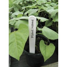 Garland Plant Labels 10cm 25pk